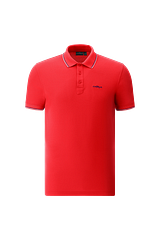 AIRTON POLO Man tulip